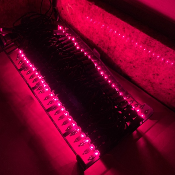 Sylvania Purple 50 Mini Lights - New - Picture 7 of 8